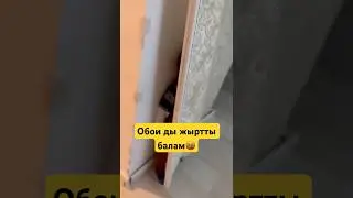 Балам обои ды жыртып тастады🥲😭 #рекомендации #shorts