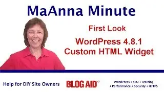 New Custom HTML Text Widget in WordPress 4.8.1 - Sneak Peek
