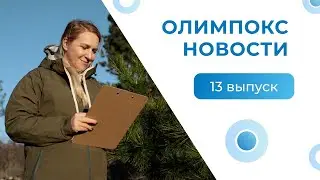 Отмена наказания за опоздание на работу // Дополнительный медосмотр водителей 80+