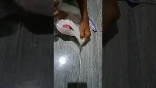 UNBOXING PAKET BOLO‼️@Tikah Family