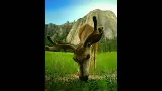 Хорошего дня ! Доброе утро