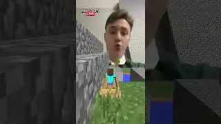 домер выиграл эдимона 