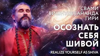 Сатсанг "Осознать себя Шивой", Свами Вишнудевананда Гири