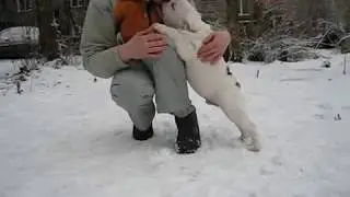 Дос Гратос