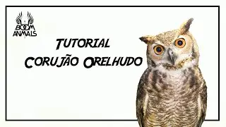 Tutorial: Corujão Orelhudo