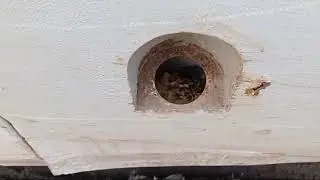 Уаз и нива по лесам. Последняя поездка