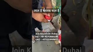 Watch Container Pomegranate Export Dubai Live ProductQuality #klickexim #importexportdubai #business
