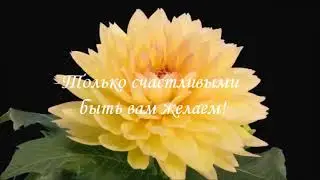 женский день