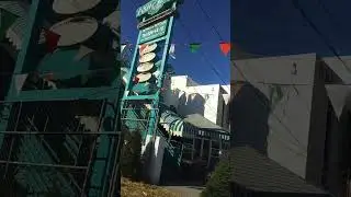елочки в мексике