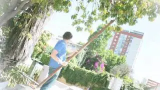 Cosecha 2011: Paltas