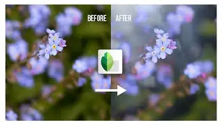 How to create soft and dreamy effects in Snapseed