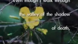 Psalm 23