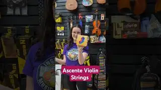 Ascente Violin Strings by D'Addario #violin #daddario #daddariostrings #demo #musicschool #love #fun