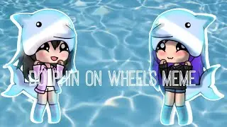 Dolphin on wheels meme ~ Ft. My best friend irl ~ GachaVerse