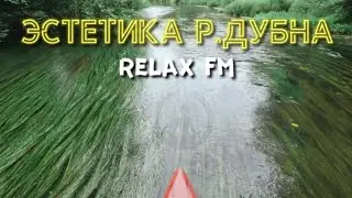 Любишь реку ДУБНА ⁉️ Тогда наслаждайся этим relax видео. Сплав от 25 июня 2023 года