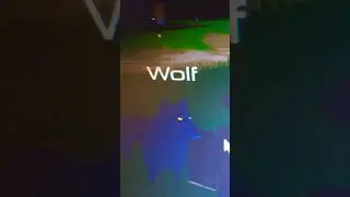 Swordburst floor 1 : Wolf 