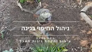 ניהול החיפוי בגינה
