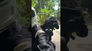 When You Buy Your Dog Goggles | Relatable