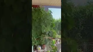 А у вас какого цвета?!🤓 