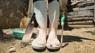 Africa girl slaughter white chicken 