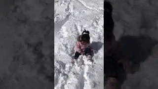 Snow 2019