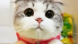 Жизнь после ухода с ютуба. Про экзамены, друзей, отношения и т.д
