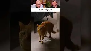The cat clearly doesn't agree 😹 😁
