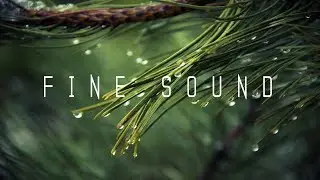 Doppler Bells - Esistnichtsoernst (No Copyright Music)