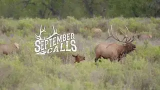 SEPTEMBER CALLS - We Love The Elk Rut