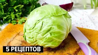 5 cabbage recipes that absolutely everyone will love!