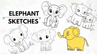 How to draw a cute Elephant // How to draw Elephant // Elephant drawing// Skeches