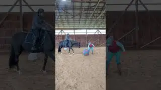 Having a Little Fun with Bentley - 5 year old Hanoverian gelding