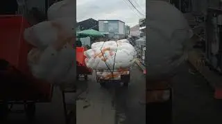 повезли гусаків