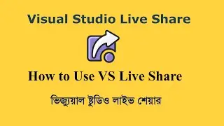 Part 2 How to Use VS Live Share