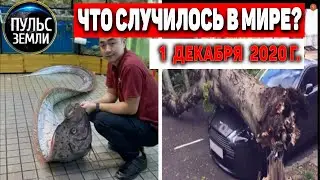 Катаклизмы за день 1 ДЕКАБРЯ 2020 ! Пульс Земли ! в мире ,событие дня! 