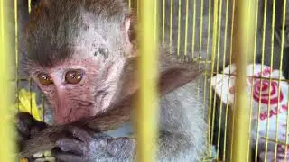 This baby appears to be wounded