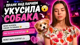 ПРАНК НАД ПАРНЕМ | УКУСИЛА СОБАКА | ОН ВЫЗВАЛ СКОРУЮ?!