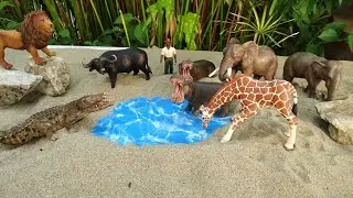 Safari/Wild Animals/Schleich animal figurines