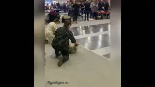 Сравнение класс Юниоров кобели