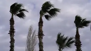 Gusty Wind White Noise | 10 Hours of Soothing Wind Sounds for Relaxation, Focus & Sleep