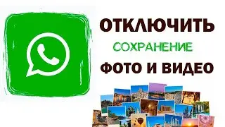 Как отключить загрузку медиа и звук в чате Whatsapp