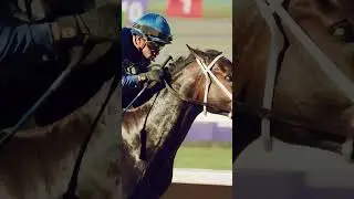 All in for the win. 🙌  Immersive is our 2024 NetJets Breeders' Cup Juvenile Fillies Champion.
