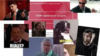 Exponenta: проект с Ситидог