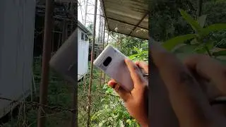 Google Pixel7 Camera zoom Test ✅️ 
