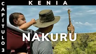 SAFARI en LAKE NAKURU | Kenia - África