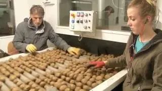 Schouten Sorting Equipement - Sorteerlijn Mencke 2015