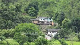 Kimtoli village with paddy fields all green in Kumaon around Champawat in the Uttarakhand Himalaya