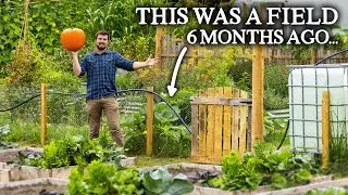 HUGE No Dig Vegetable Gardening Project (Only 6 Months Old!)