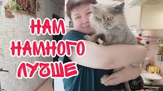 СЕГОДНЯ МНЕ НАМНОГО ЛУЧШЕ