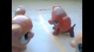 LPS Англ